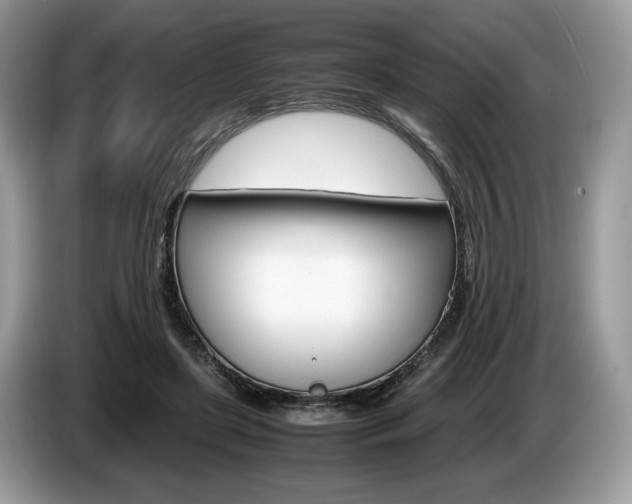 X0000087600451200704271046