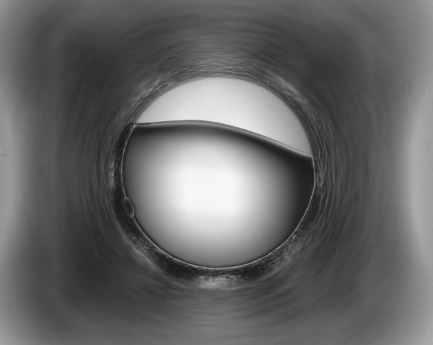 X0000087600452200704271046