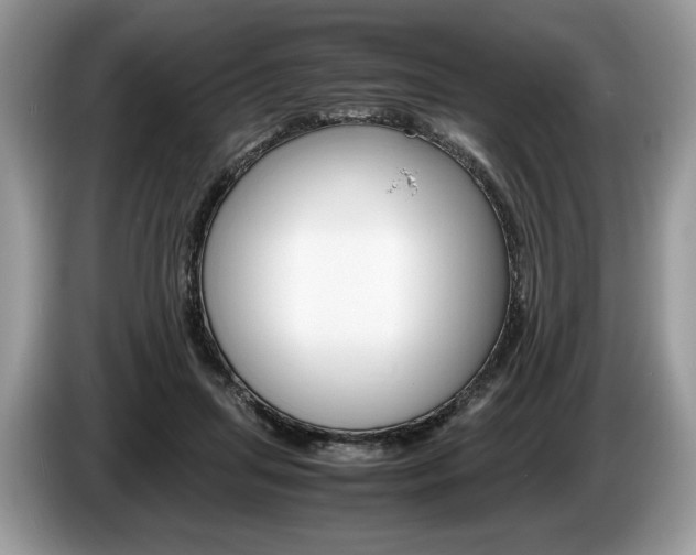 X0000087600455200704271046