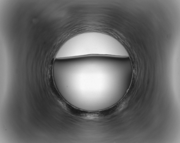 X0000087600462200704271046
