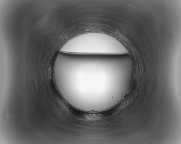 X0000087600465200704271046