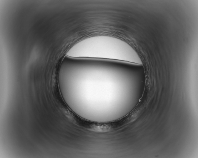 X0000087600466200704271046