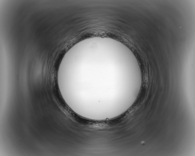 X0000087600468200704271046