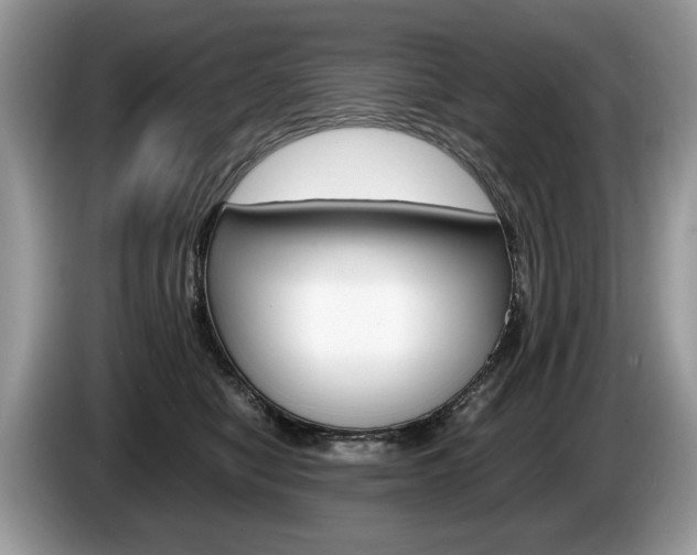 X0000087600470200704271046