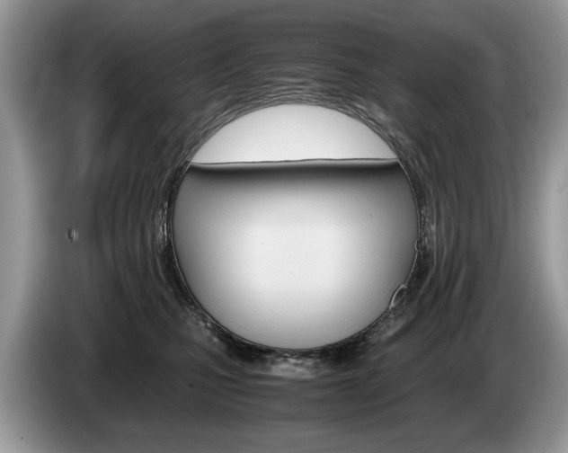 X0000087600471200704271046