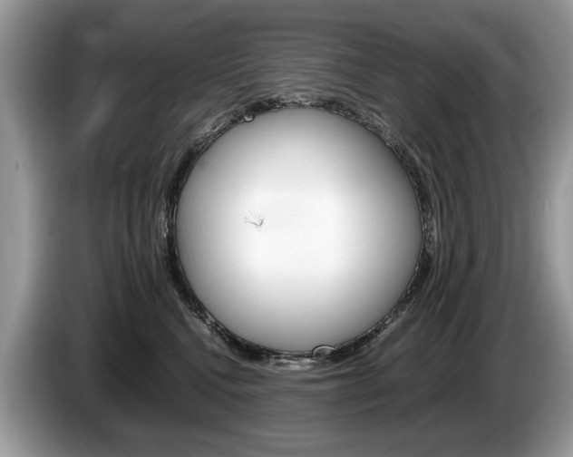X0000087600472200704271046