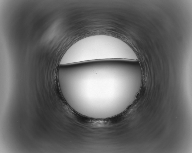 X0000087600473200704271046