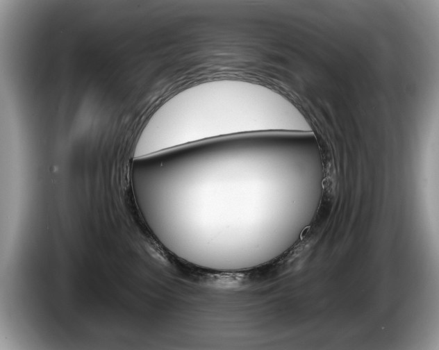 X0000087600474200704271046