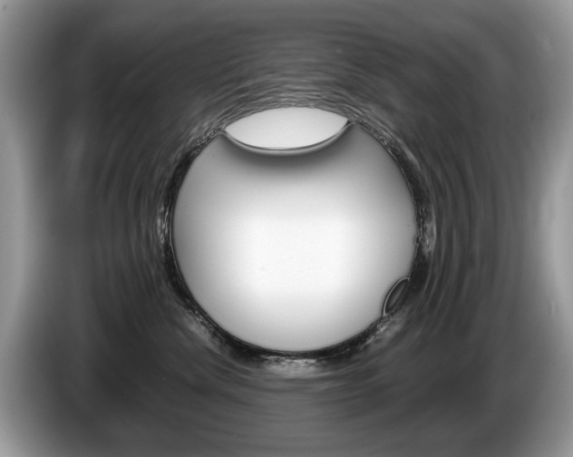X0000087600476200704271046