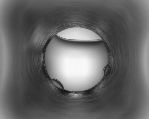 X0000087600477200704271046