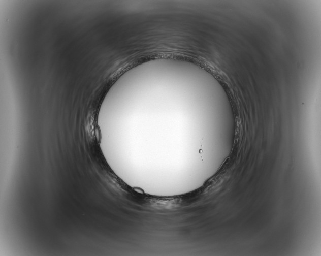 X0000087600479200704271046