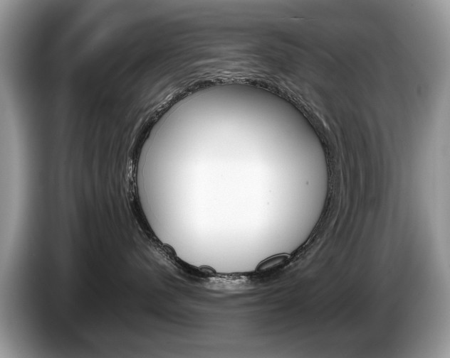 X0000087600480200704271046