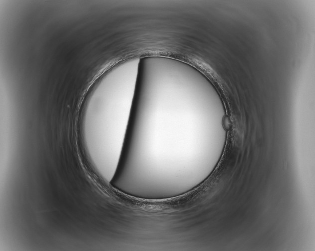 X0000087600482200704271046
