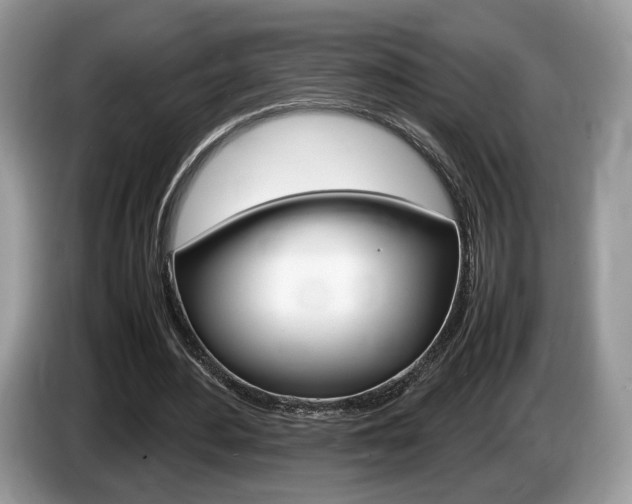 X0000087600484200704271046