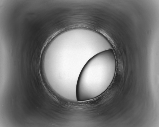 X0000087600486200704271046