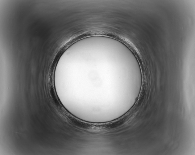 X0000087600487200704271046