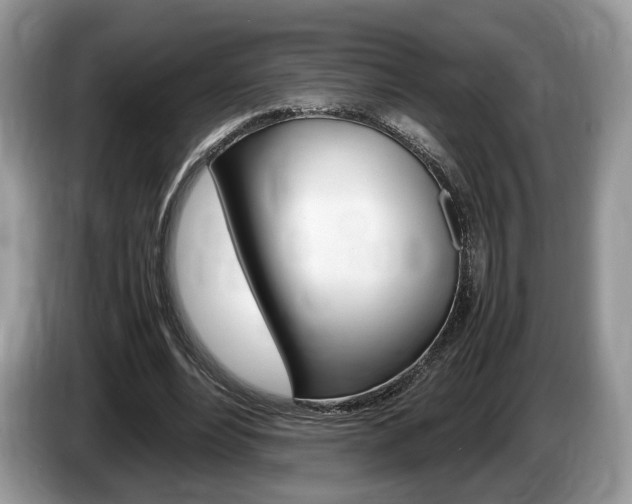 X0000087600488200704271046