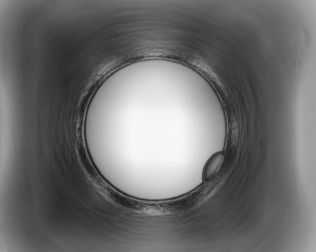 X0000087600490200704271046