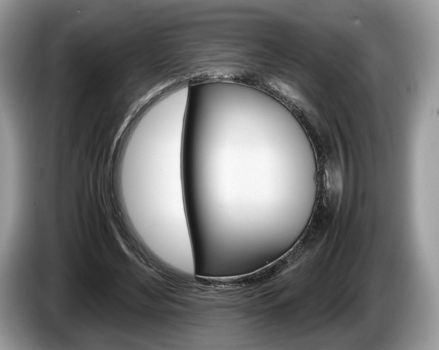 X0000087600492200704271046