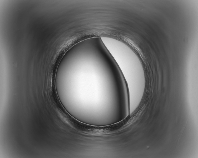 X0000087600493200704271046