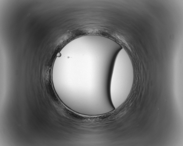 X0000087600495200704271045
