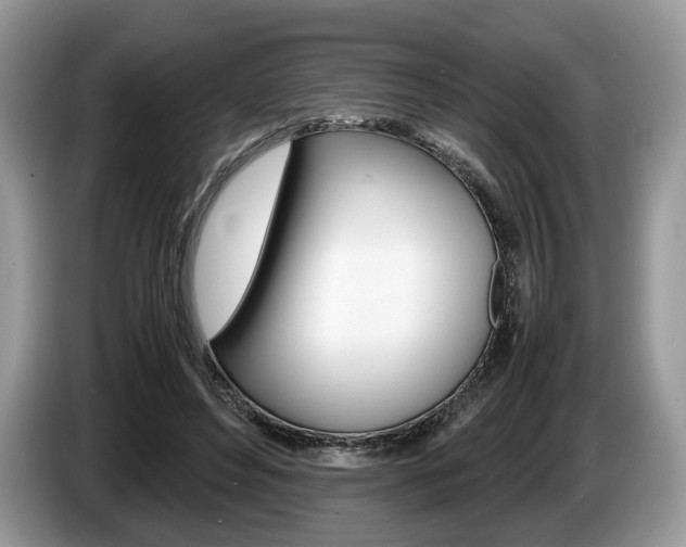 X0000087600496200704271045