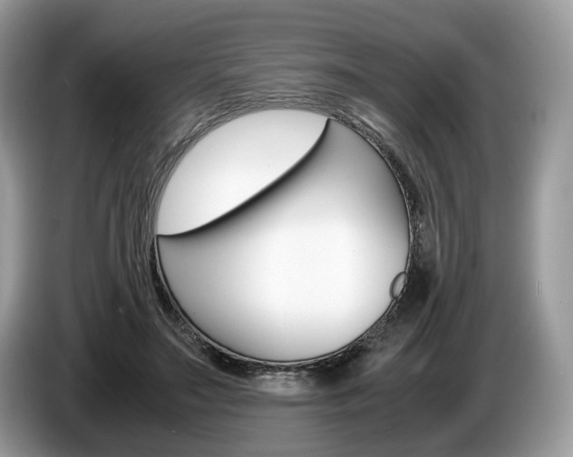 X0000087600499200704271045