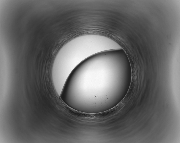 X0000087600504200704271045