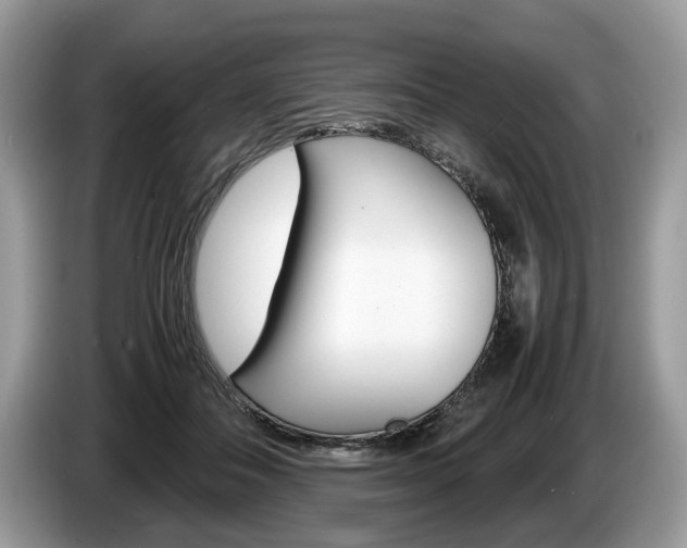 X0000087600506200704271045