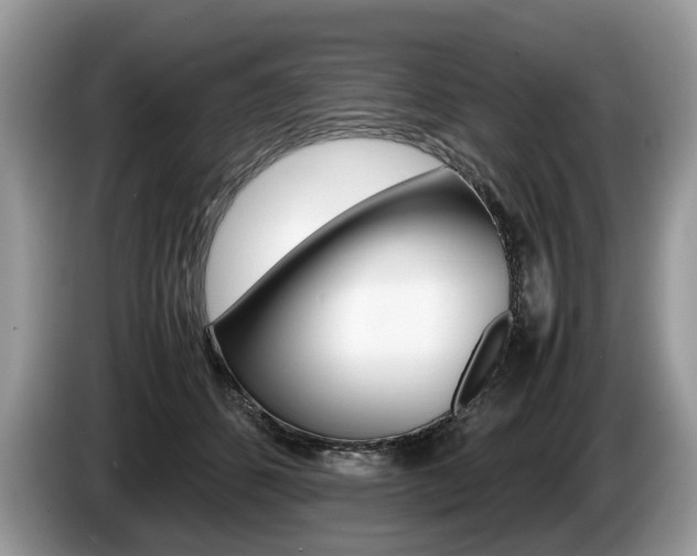 X0000087600512200704271045