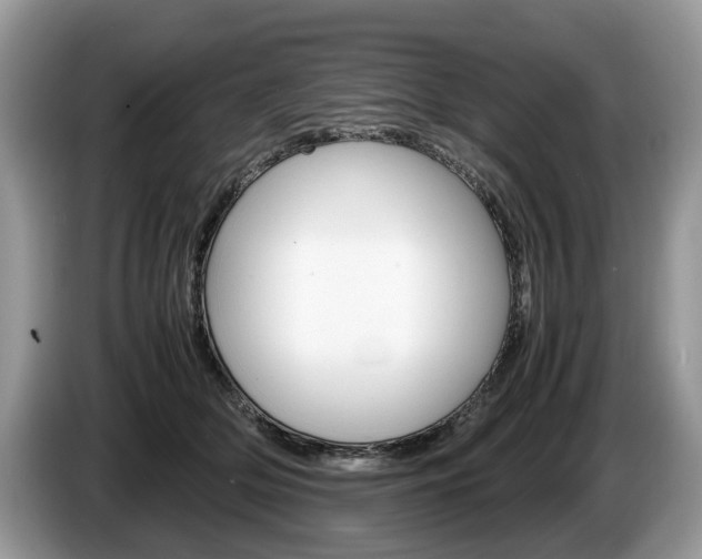 X0000087600514200704271045