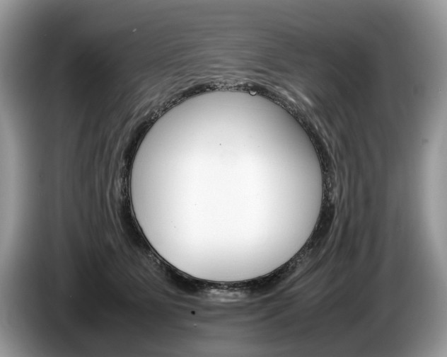 X0000087600515200704271045