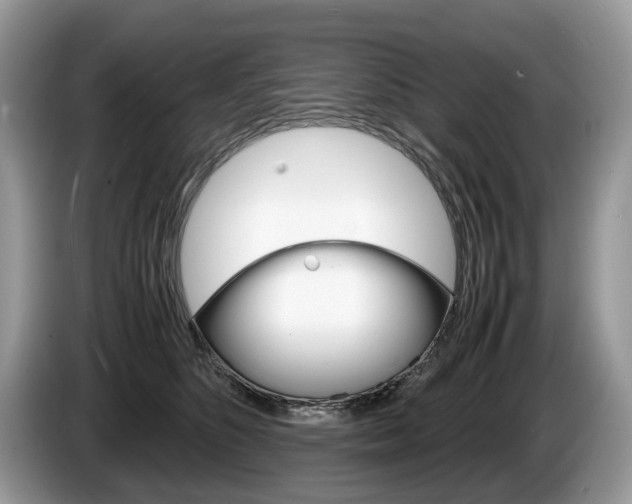X0000087600516200704271045