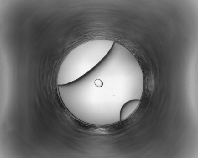 X0000087600518200704271045