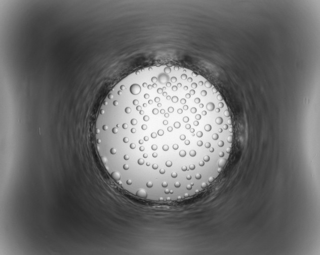 X0000087600519200704271045