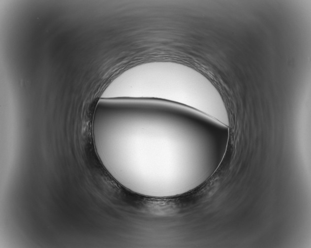 X0000087600521200704271045