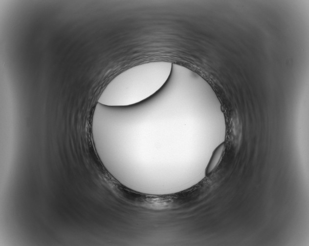 X0000087600522200704271045