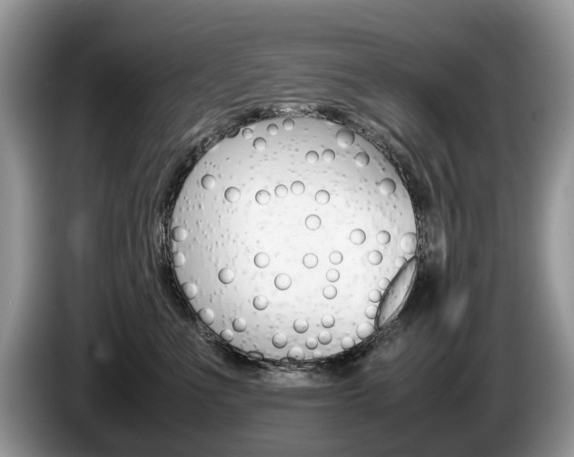 X0000087600523200704271045