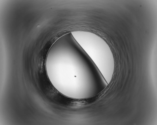 X0000087600525200704271045