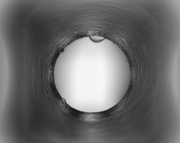 X0000087600527200704271045