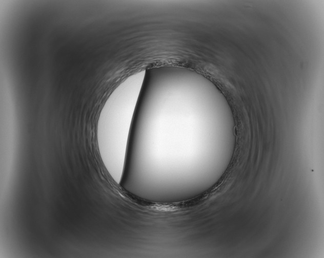 X0000087600528200704271045