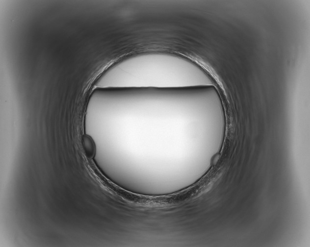 X0000087600529200704271045