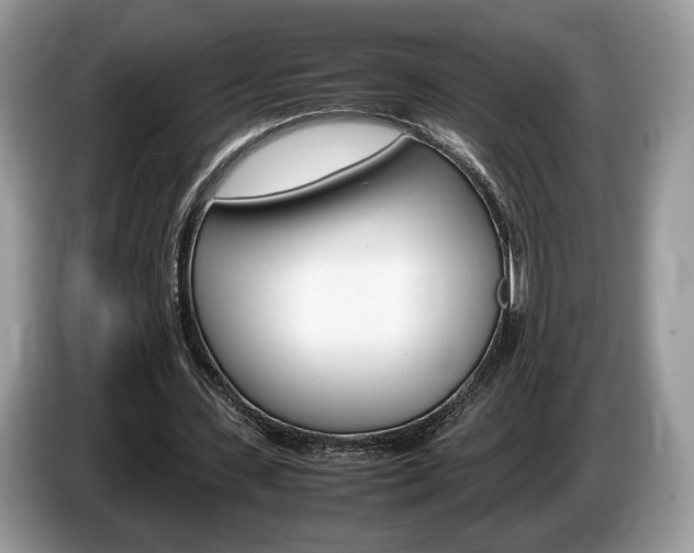 X0000087600531200704271045
