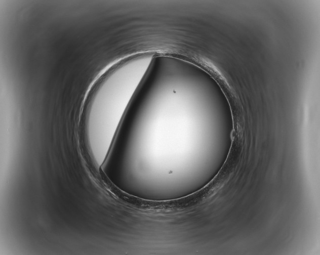 X0000087600532200704271045