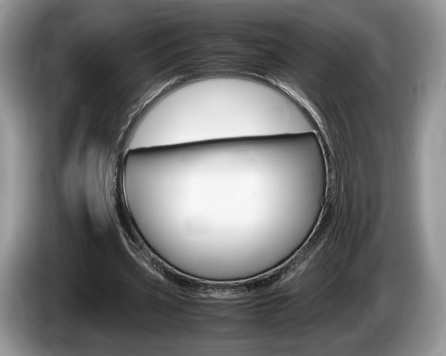X0000087600533200704271045