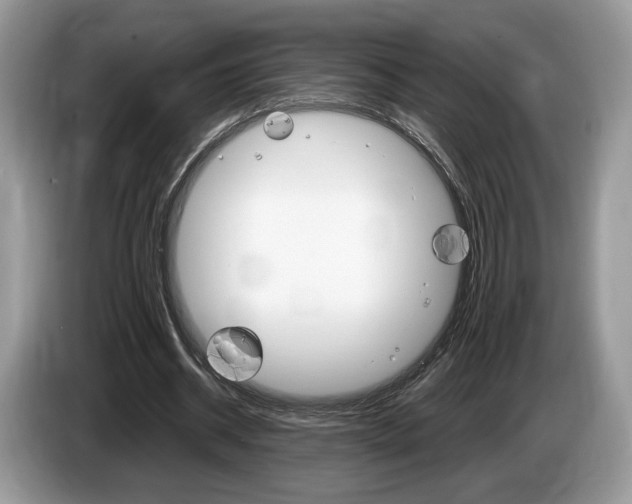 X0000087600534200704271045