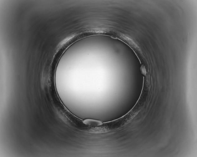 X0000087600536200704271045