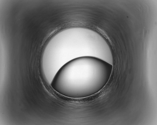 X0000087600538200704271045