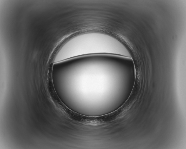 X0000087600540200704271045