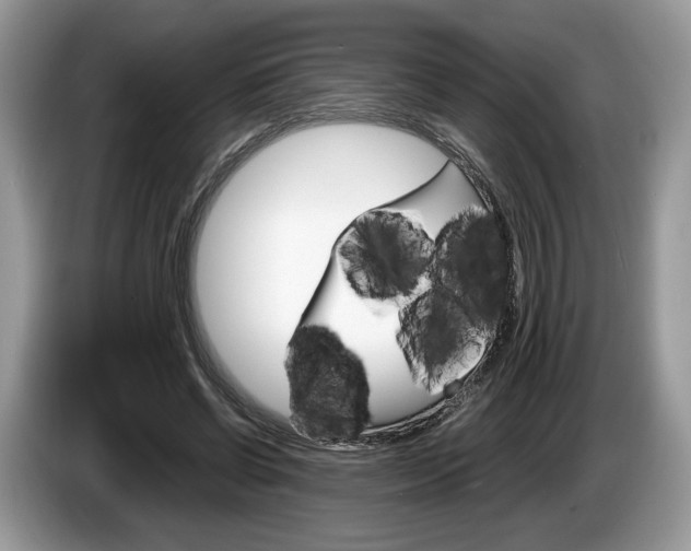 X0000087600542200704271045